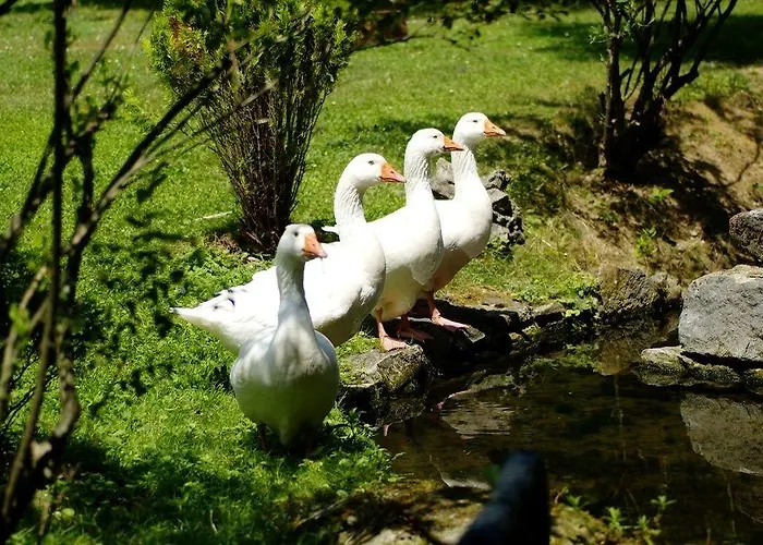 Maison Jenny Restaurant &